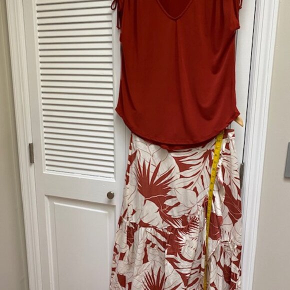 Madewell Dresses & Skirts - Madwell Skirt with bonus shirt
